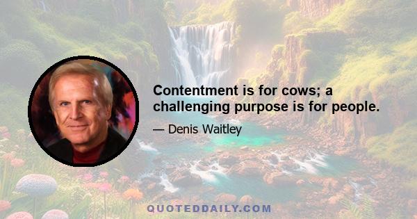 Contentment is for cows; a challenging purpose is for people.