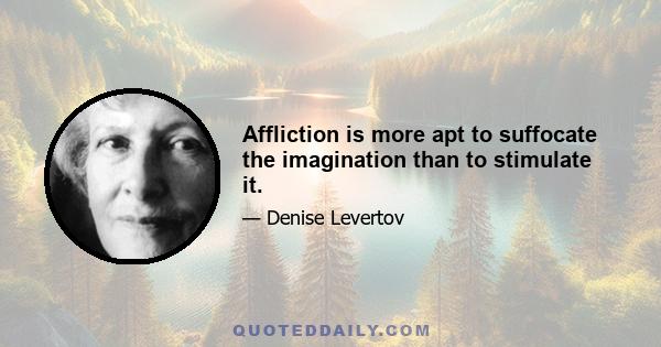 Affliction is more apt to suffocate the imagination than to stimulate it.