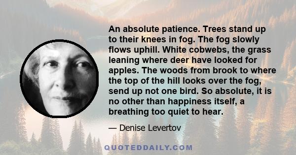 An absolute patience. Trees stand up to their knees in fog. The fog slowly flows uphill. White cobwebs, the grass leaning where deer have looked for apples. The woods from brook to where the top of the hill looks over