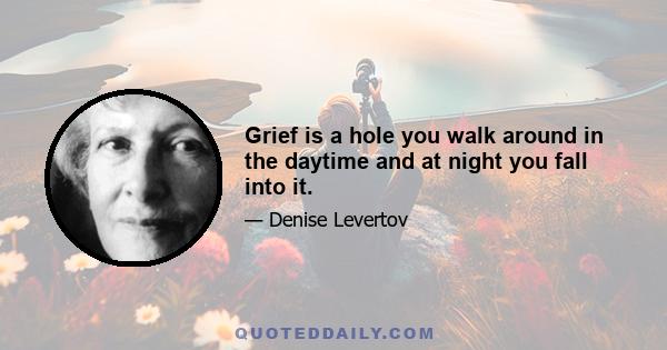 Grief is a hole you walk around in the daytime and at night you fall into it.