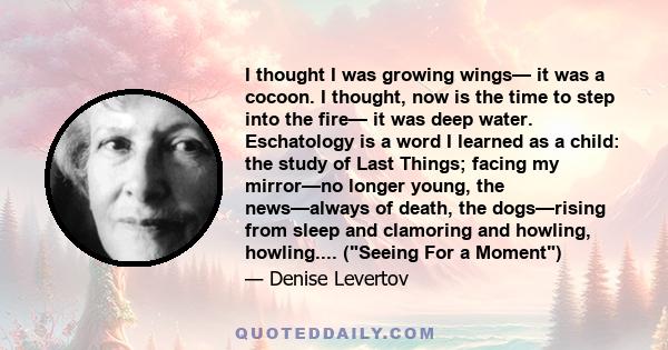 I thought I was growing wings— it was a cocoon. I thought, now is the time to step into the fire— it was deep water. Eschatology is a word I learned as a child: the study of Last Things; facing my mirror—no longer