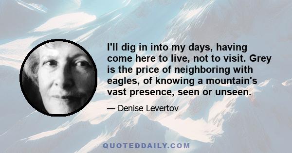 I'll dig in into my days, having come here to live, not to visit. Grey is the price of neighboring with eagles, of knowing a mountain's vast presence, seen or unseen.