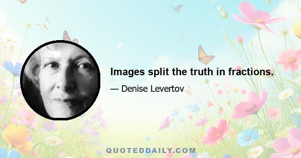 Images split the truth in fractions.