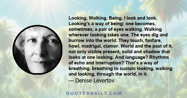 Looking, Walking, Being, I look and look. Looking's a way of being: one becomes, sometimes, a pair of eyes walking. Walking wherever looking takes one. The eyes dig and burrow into the world. They touch, fanfare, howl,