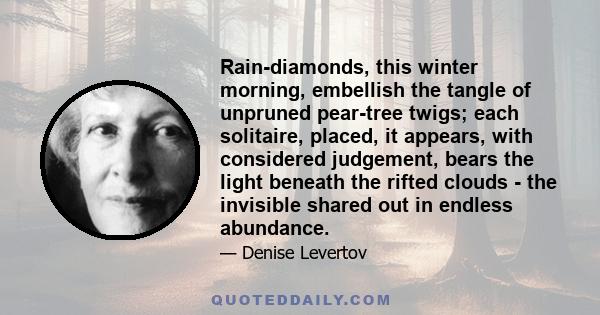 Rain-diamonds, this winter morning, embellish the tangle of unpruned pear-tree twigs; each solitaire, placed, it appears, with considered judgement, bears the light beneath the rifted clouds - the invisible shared out