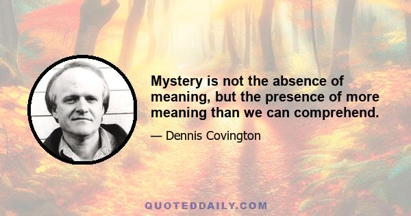 Mystery is not the absence of meaning, but the presence of more meaning than we can comprehend.