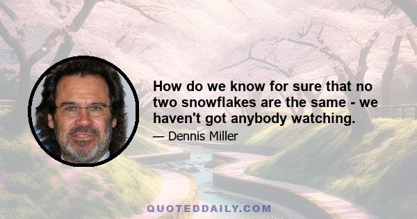 How do we know for sure that no two snowflakes are the same - we haven't got anybody watching.