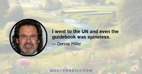 I went to the UN and even the guidebook was spineless.