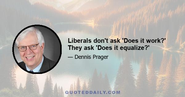 Liberals don't ask 'Does it work?' They ask 'Does it equalize?'