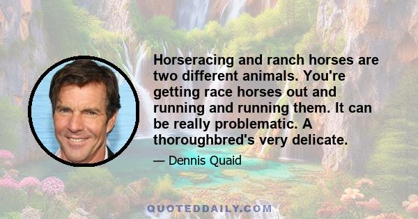 Horseracing and ranch horses are two different animals. You're getting race horses out and running and running them. It can be really problematic. A thoroughbred's very delicate.