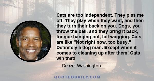 Cats are too independent. They piss me off. They play when they want, and then they turn their back on you. Dogs, you throw the ball, and they bring it back, tongue hanging out, tail wagging. Cats are like Not right