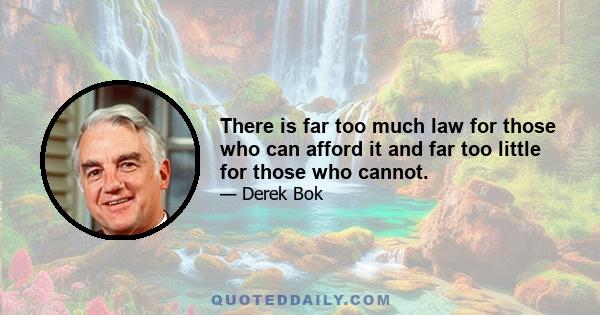 There is far too much law for those who can afford it and far too little for those who cannot.