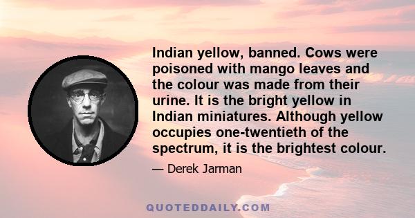 Indian yellow, banned. Cows were poisoned with mango leaves and the colour was made from their urine. It is the bright yellow in Indian miniatures. Although yellow occupies one-twentieth of the spectrum, it is the