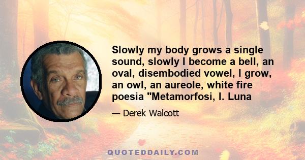 Slowly my body grows a single sound, slowly I become a bell, an oval, disembodied vowel, I grow, an owl, an aureole, white fire poesia Metamorfosi, I. Luna