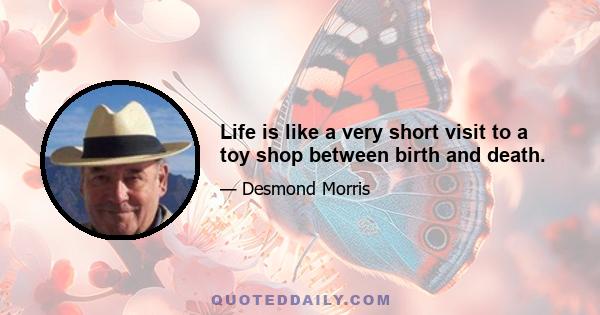 Life is like a very short visit to a toy shop between birth and death.