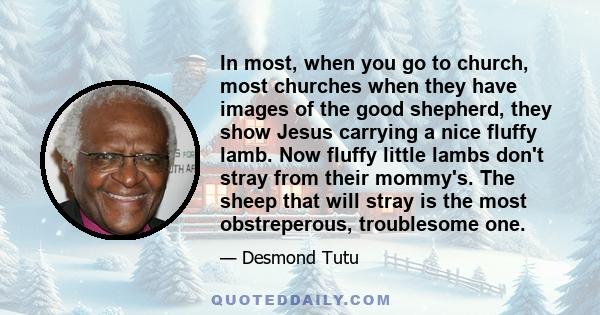 In most, when you go to church, most churches when they have images of the good shepherd, they show Jesus carrying a nice fluffy lamb. Now fluffy little lambs don't stray from their mommy's. The sheep that will stray is 