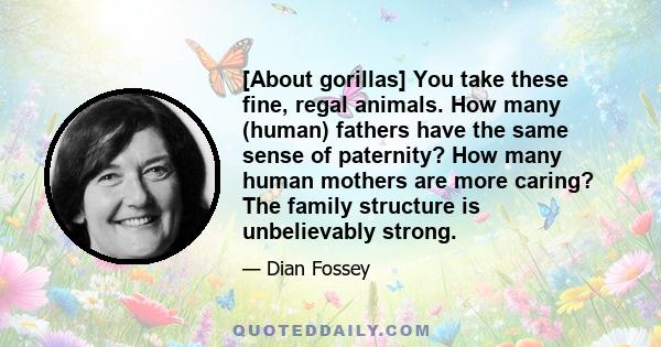 [About gorillas] You take these fine, regal animals. How many (human) fathers have the same sense of paternity? How many human mothers are more caring? The family structure is unbelievably strong.