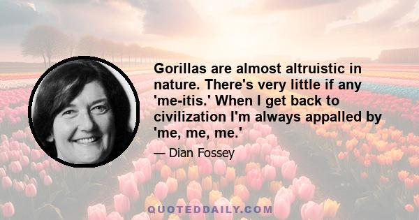 Gorillas are almost altruistic in nature. There's very little if any 'me-itis.' When I get back to civilization I'm always appalled by 'me, me, me.'