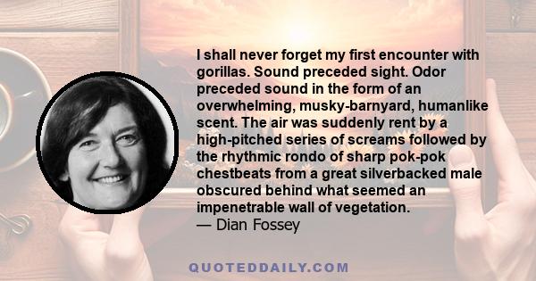 I shall never forget my first encounter with gorillas. Sound preceded sight. Odor preceded sound in the form of an overwhelming, musky-barnyard, humanlike scent. The air was suddenly rent by a high-pitched series of