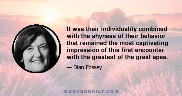 It was their individuality combined with the shyness of their behavior that remained the most captivating impression of this first encounter with the greatest of the great apes.