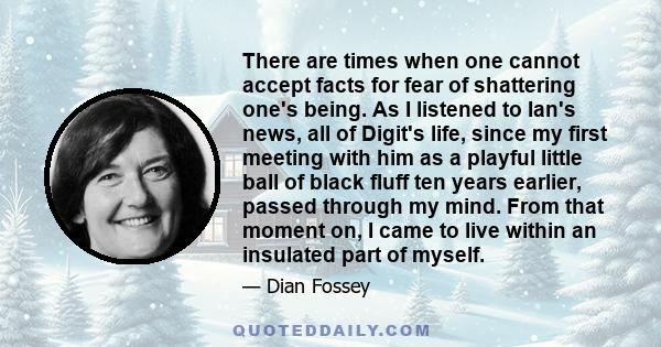 There are times when one cannot accept facts for fear of shattering one's being. As I listened to Ian's news, all of Digit's life, since my first meeting with him as a playful little ball of black fluff ten years