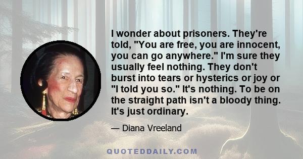 I wonder about prisoners. They're told, You are free, you are innocent, you can go anywhere. I'm sure they usually feel nothing. They don't burst into tears or hysterics or joy or I told you so. It's nothing. To be on