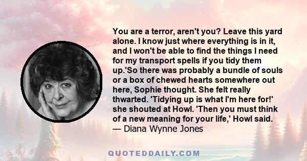 You are a terror, aren't you? Leave this yard alone. I know just where everything is in it, and I won't be able to find the things I need for my transport spells if you tidy them up.'So there was probably a bundle of