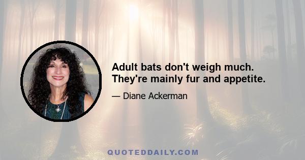 Adult bats don't weigh much. They're mainly fur and appetite.