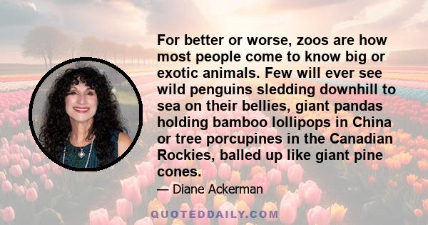 For better or worse, zoos are how most people come to know big or exotic animals. Few will ever see wild penguins sledding downhill to sea on their bellies, giant pandas holding bamboo lollipops in China or tree