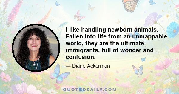 I like handling newborn animals. Fallen into life from an unmappable world, they are the ultimate immigrants, full of wonder and confusion.