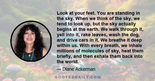 Look at your feet. You are standing in the sky. When we think of the sky, we tend to look up, but the sky actually begins at the earth. We walk through it, yell into it, rake leaves, wash the dog, and drive cars in it.