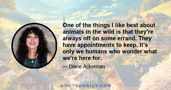 One of the things I like best about animals in the wild is that they're always off on some errand. They have appointments to keep. It's only we humans who wonder what we're here for.