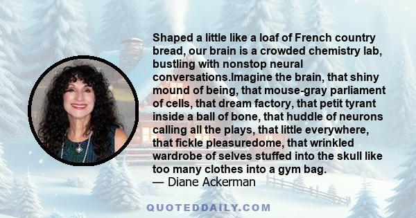 Shaped a little like a loaf of French country bread, our brain is a crowded chemistry lab, bustling with nonstop neural conversations.