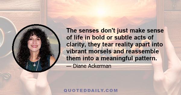 The senses don't just make sense of life in bold or subtle acts of clarity, they tear reality apart into vibrant morsels and reassemble them into a meaningful pattern.