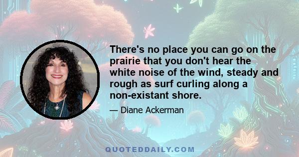 There's no place you can go on the prairie that you don't hear the white noise of the wind, steady and rough as surf curling along a non-existant shore.