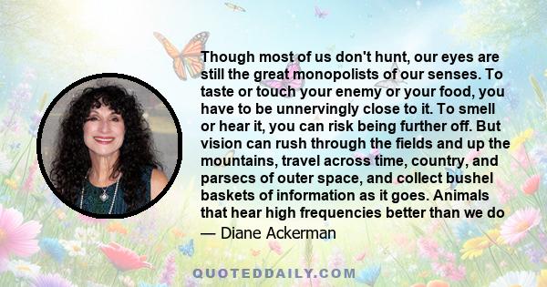 Though most of us don't hunt, our eyes are still the great monopolists of our senses. To taste or touch your enemy or your food, you have to be unnervingly close to it. To smell or hear it, you can risk being further