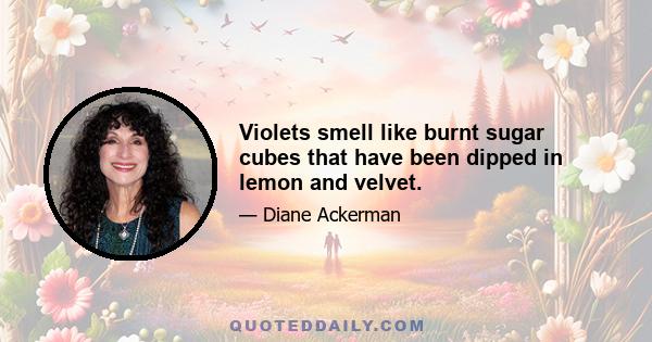 Violets smell like burnt sugar cubes that have been dipped in lemon and velvet.