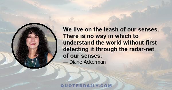 We live on the leash of our senses. There is no way in which to understand the world without first detecting it through the radar-net of our senses.