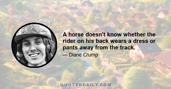 A horse doesn't know whether the rider on his back wears a dress or pants away from the track.