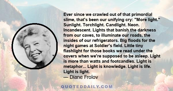 Ever since we crawled out of that primordial slime, that's been our unifying cry: More light. Sunlight. Torchlight. Candlight. Neon. Incandescent. Lights that banish the darkness from our caves, to illuminate our roads, 