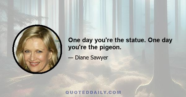 One day you're the statue. One day you're the pigeon.