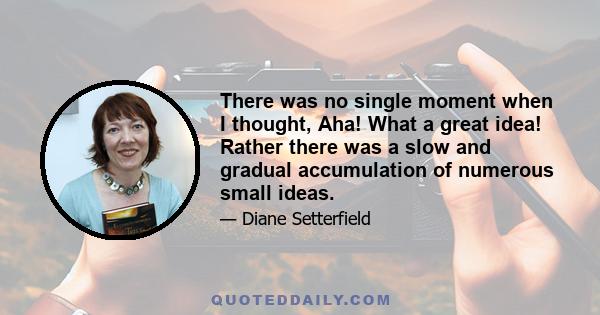 There was no single moment when I thought, Aha! What a great idea! Rather there was a slow and gradual accumulation of numerous small ideas.