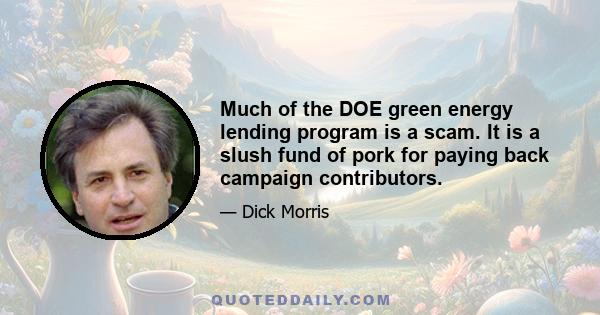 Much of the DOE green energy lending program is a scam. It is a slush fund of pork for paying back campaign contributors.