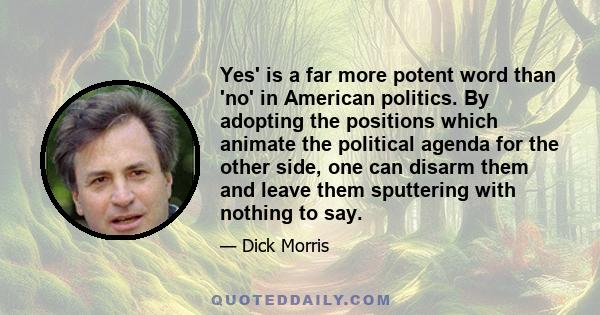 Yes' is a far more potent word than 'no' in American politics. By adopting the positions which animate the political agenda for the other side, one can disarm them and leave them sputtering with nothing to say.