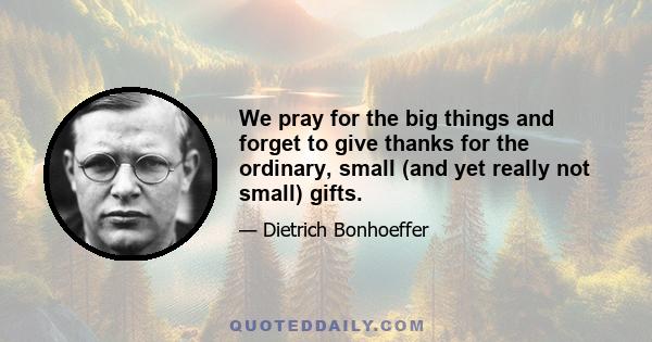 We pray for the big things and forget to give thanks for the ordinary, small (and yet really not small) gifts.