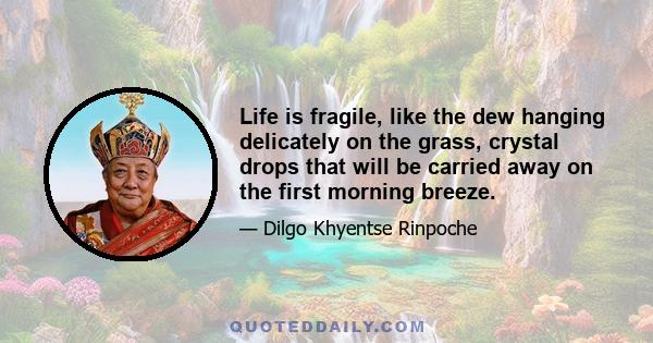 Life is fragile, like the dew hanging delicately on the grass, crystal drops that will be carried away on the first morning breeze.