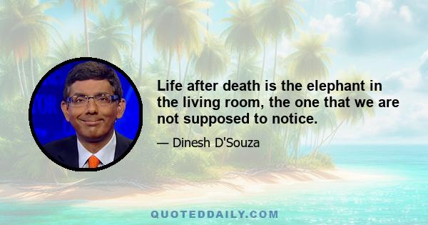 Life after death is the elephant in the living room, the one that we are not supposed to notice.