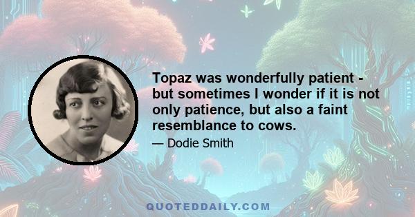 Topaz was wonderfully patient - but sometimes I wonder if it is not only patience, but also a faint resemblance to cows.