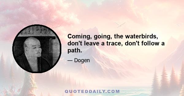 Coming, going, the waterbirds, don't leave a trace, don't follow a path.