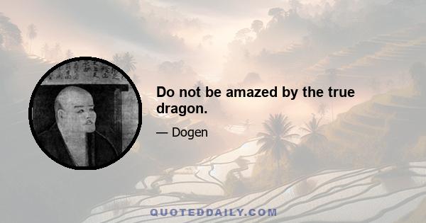 Do not be amazed by the true dragon.